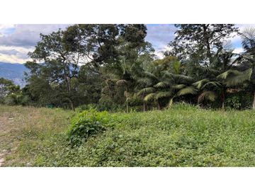 place photo 61