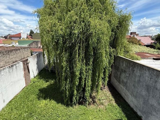 place photo 21