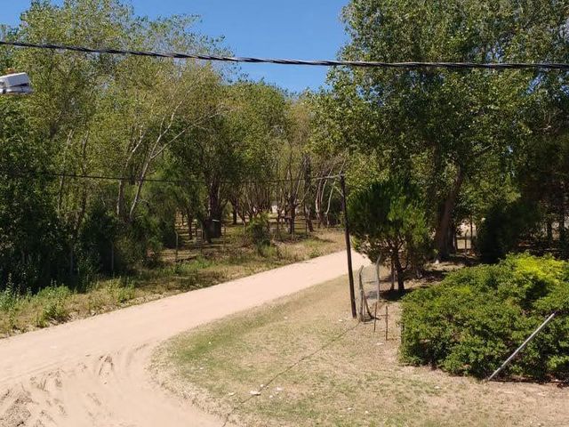 place photo 13