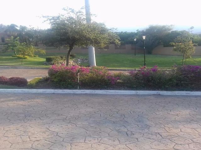 place photo 19