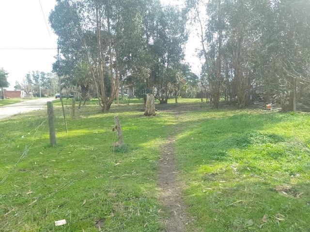 place photo 20