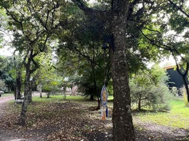 place photo 30