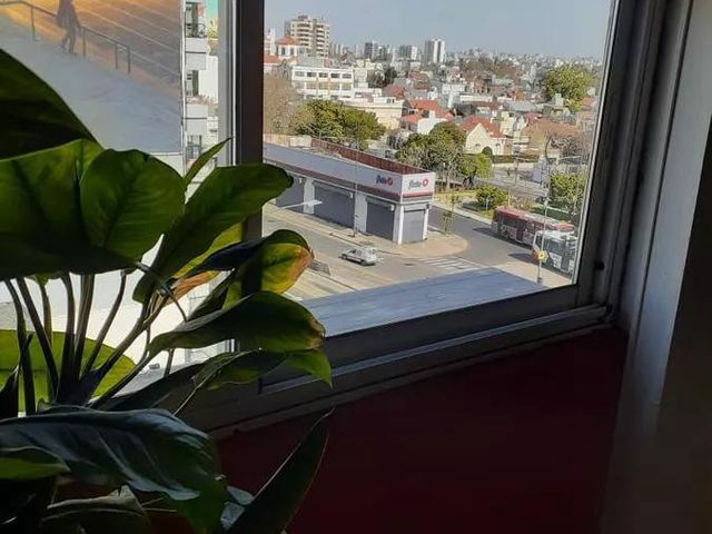 place photo 22