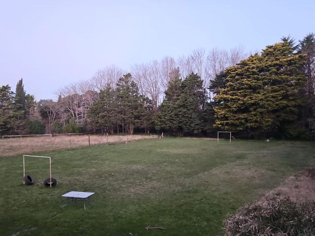 place photo 17