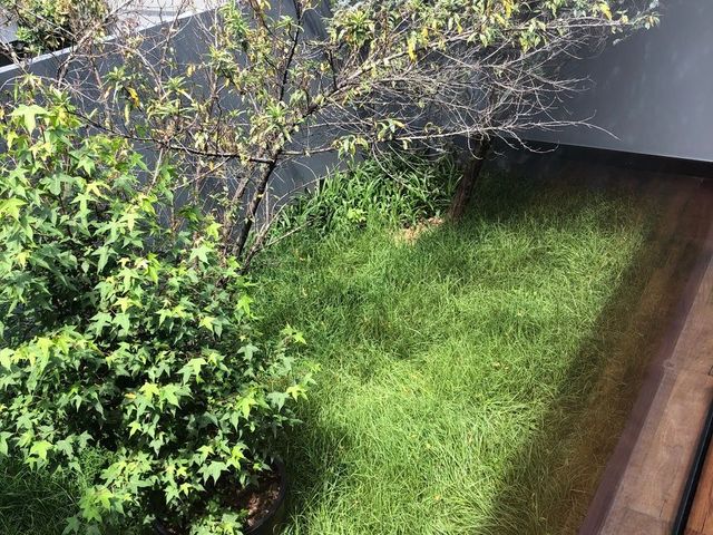 place photo 32