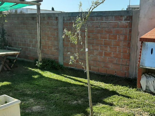 place photo 38