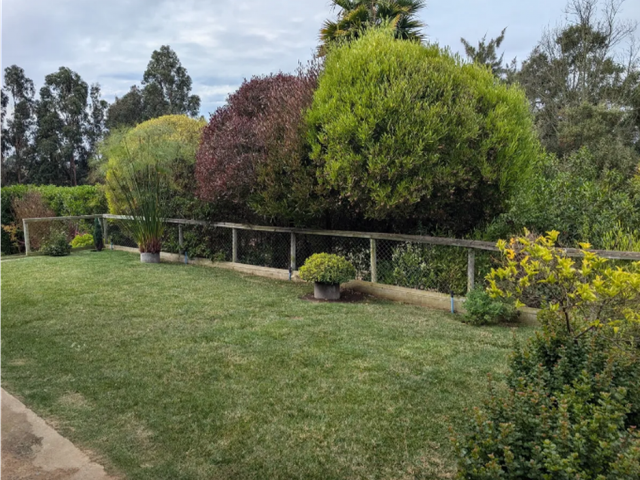 place photo 14