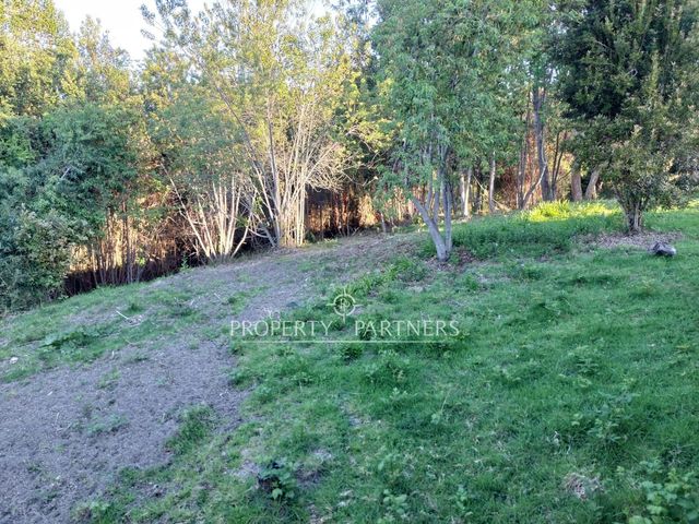 place photo 40