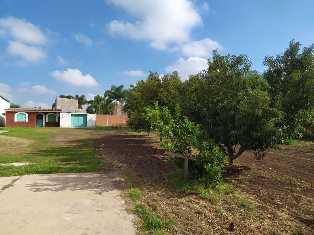place photo 22