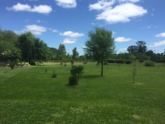 place photo 9