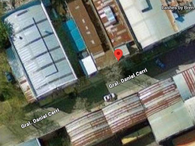 place photo 12