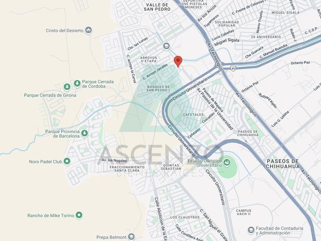 place photo 26
