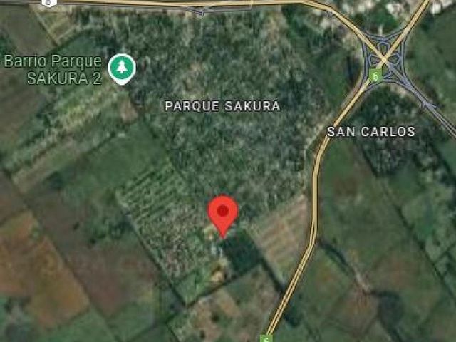 place photo 11