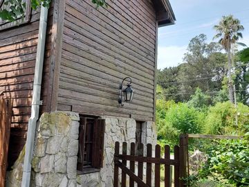 place photo 60