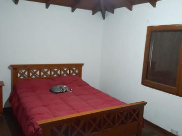 place photo 46