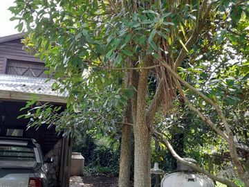 place photo 61