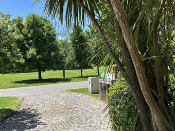 place photo 71