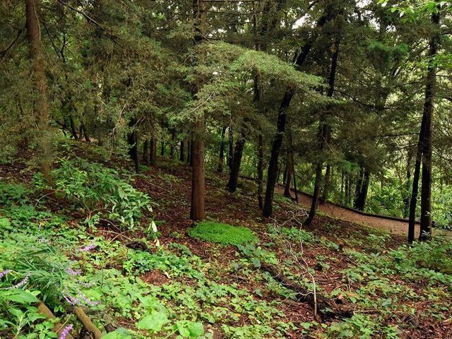 place photo 36