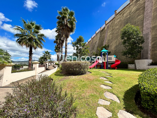 place photo 47