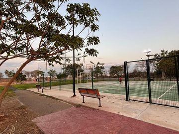 place photo 7