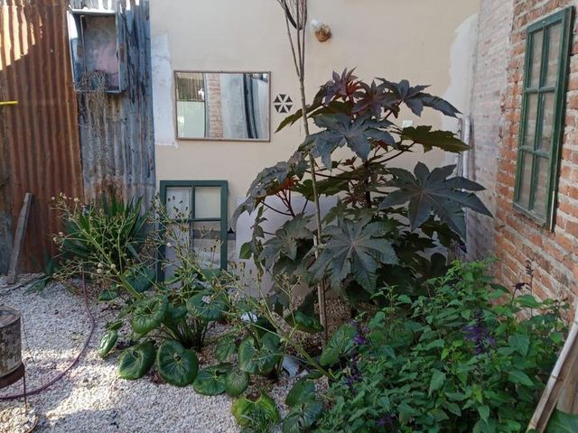 place photo 33
