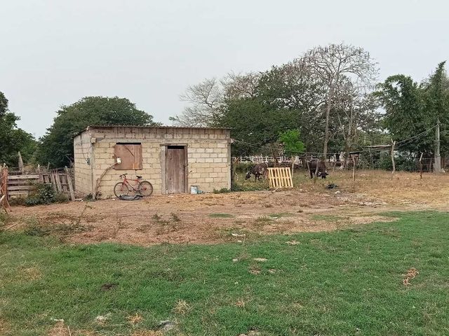 place photo 8