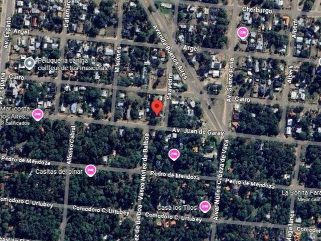 place photo 18