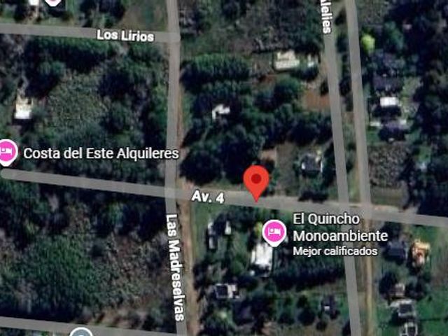 place photo 19