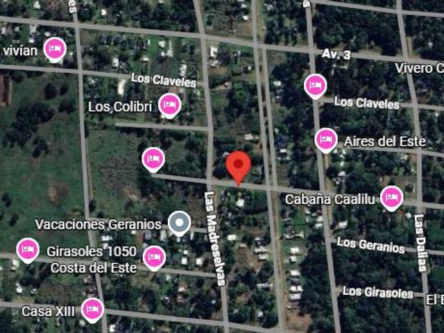 place photo 17