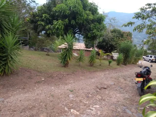 place photo 15