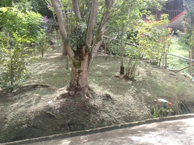 place photo 16