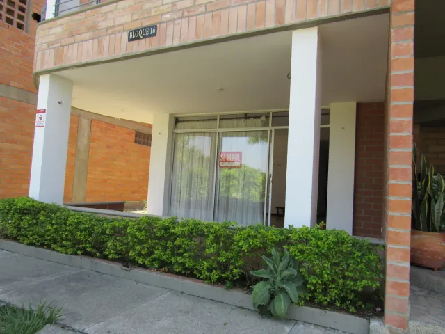place photo 26