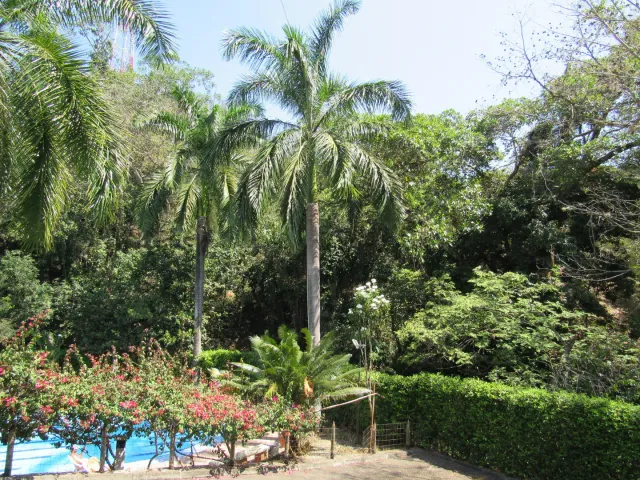 place photo 28