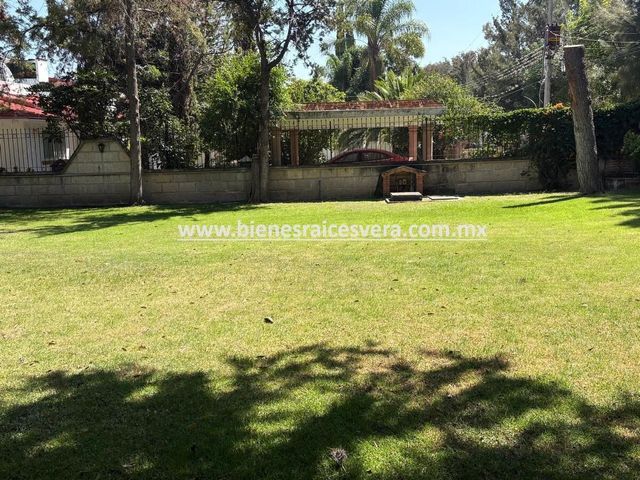place photo 49