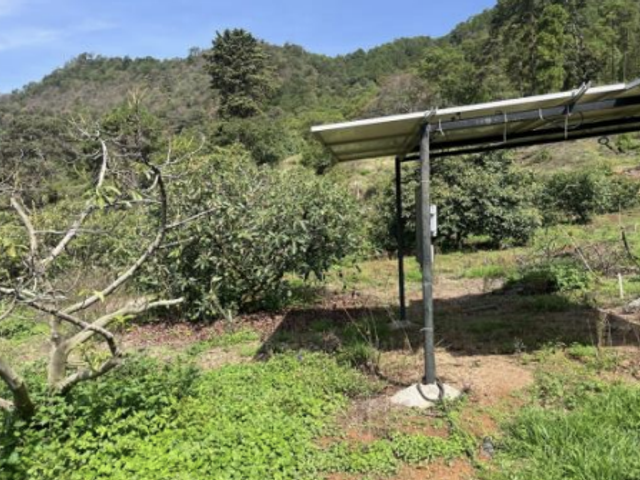place photo 32