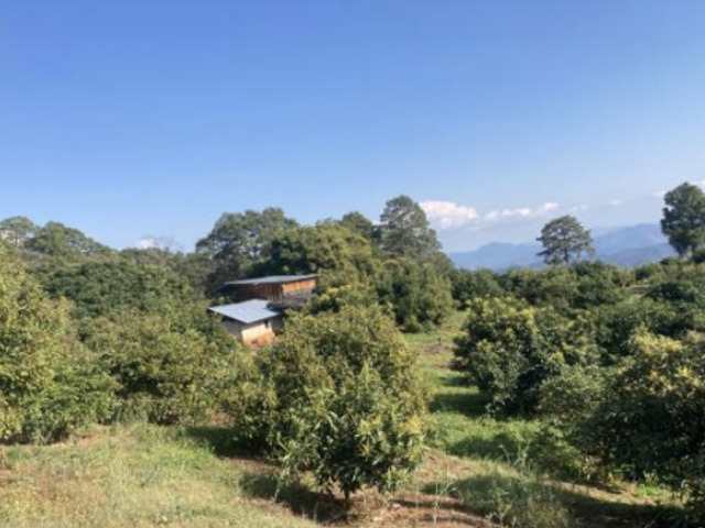 place photo 23