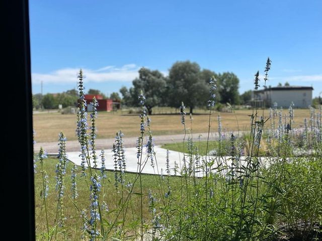 place photo 74