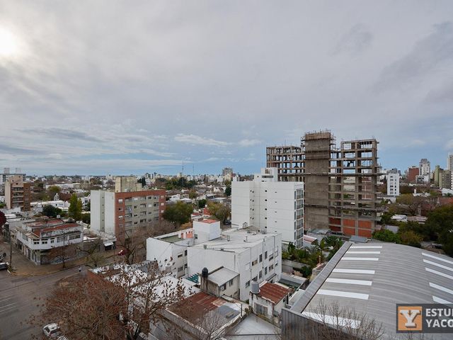 place photo 37