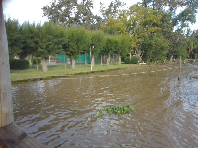 place photo 45