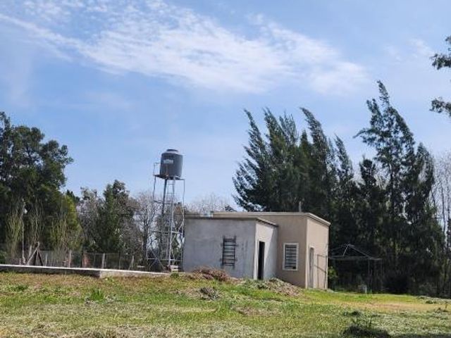 place photo 24