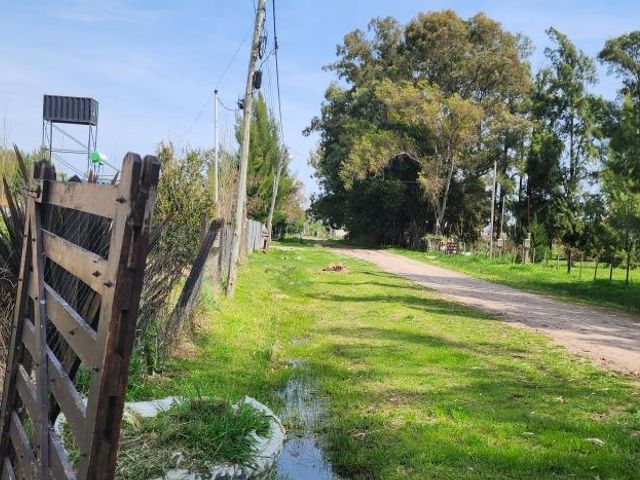 place photo 19