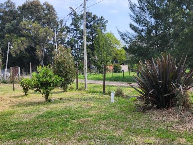 place photo 11