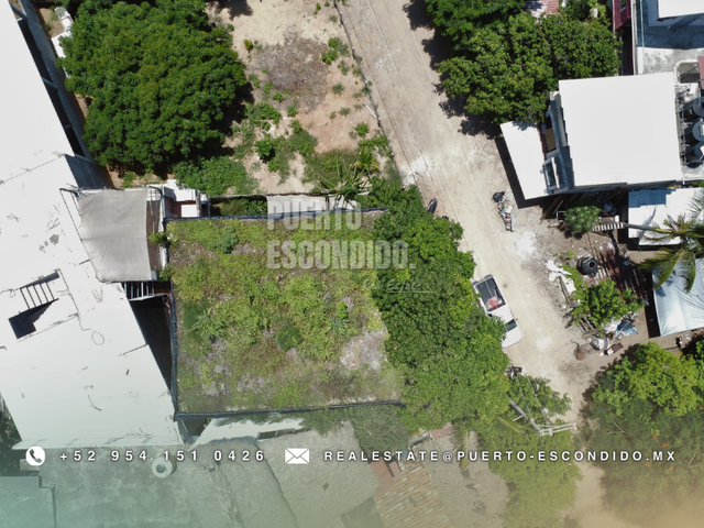 place photo 19