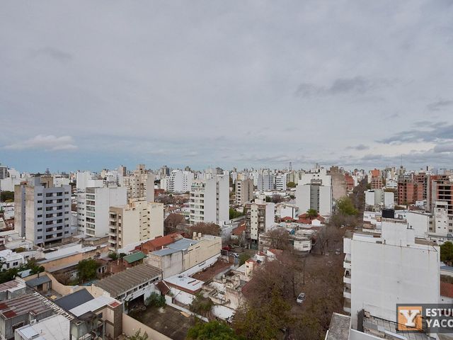 place photo 24