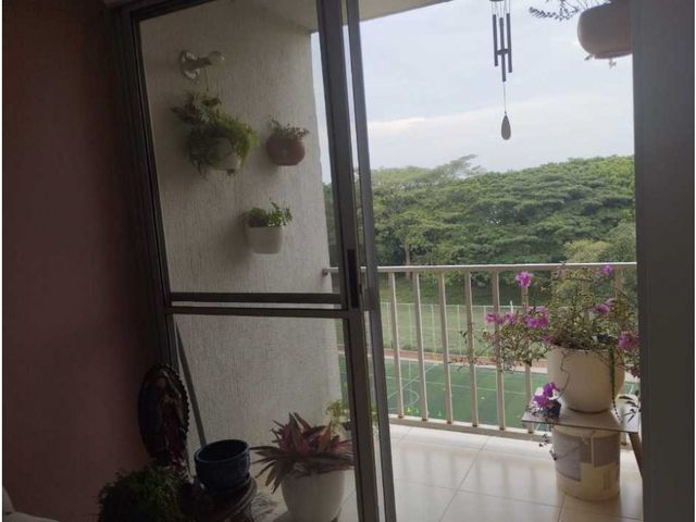 place photo 20