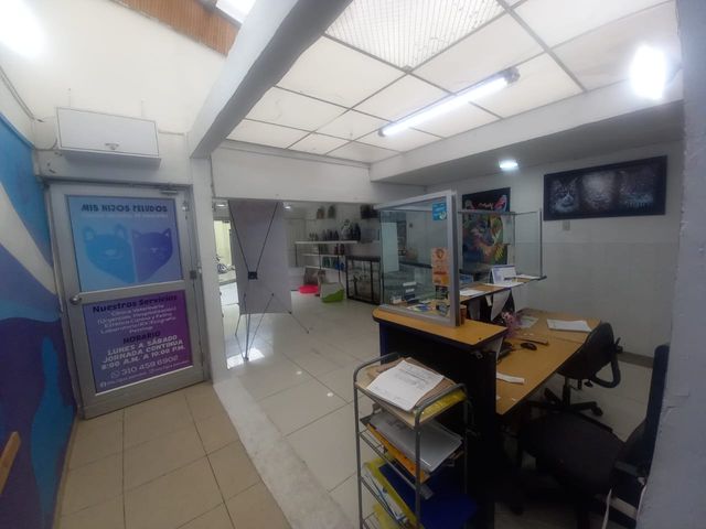 place photo 8