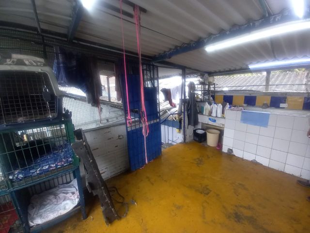 place photo 30