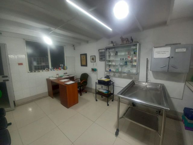 place photo 27