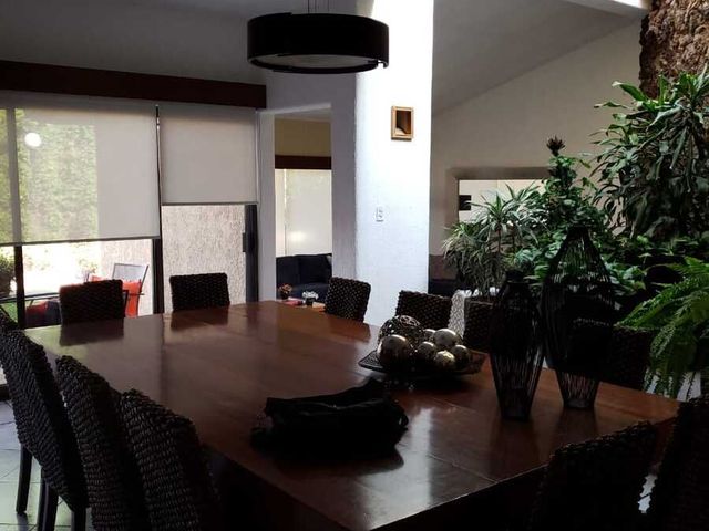 place photo 42