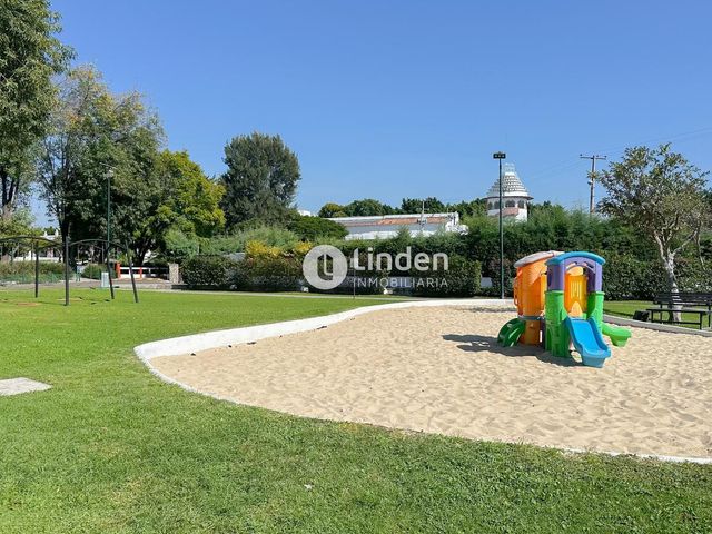 place photo 48
